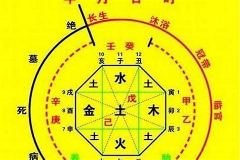 免費 八字五行 算命|生辰八字算命、五行喜用神查詢（免費測算）